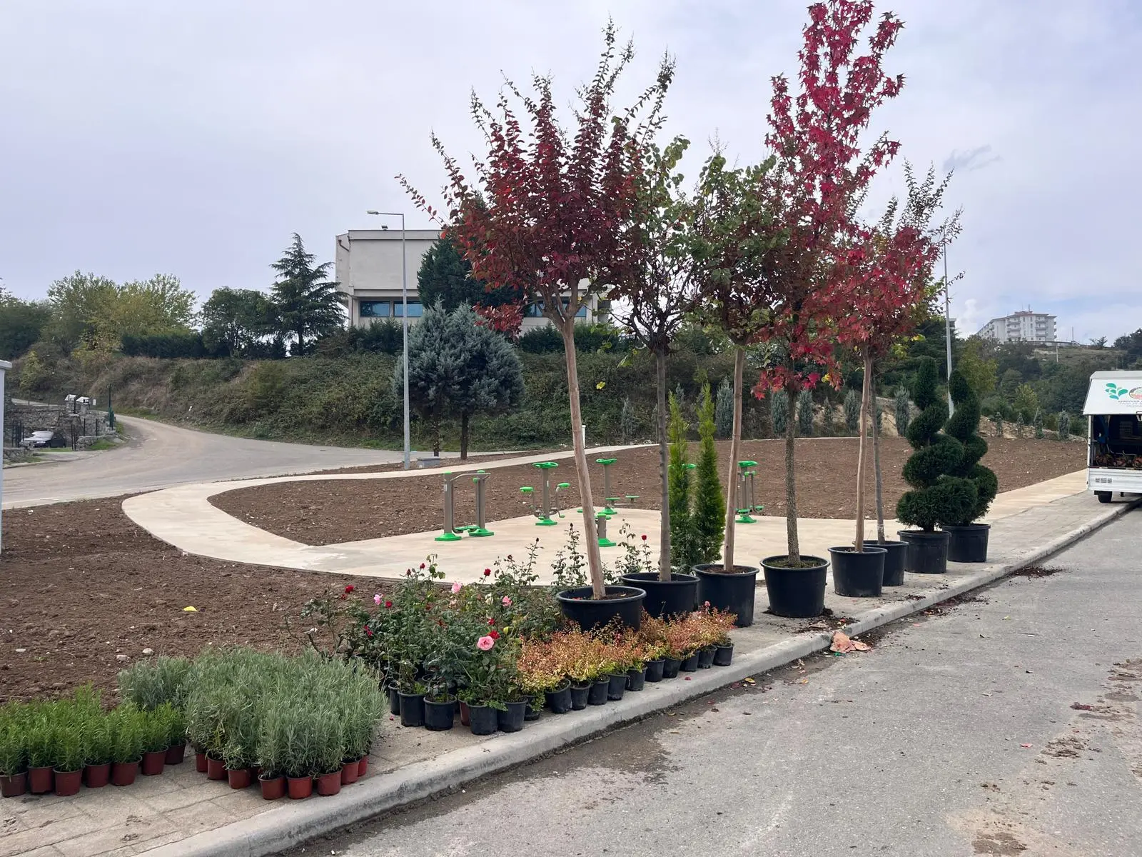 Serdivan park alanındaki ağaçlandırma çalışması